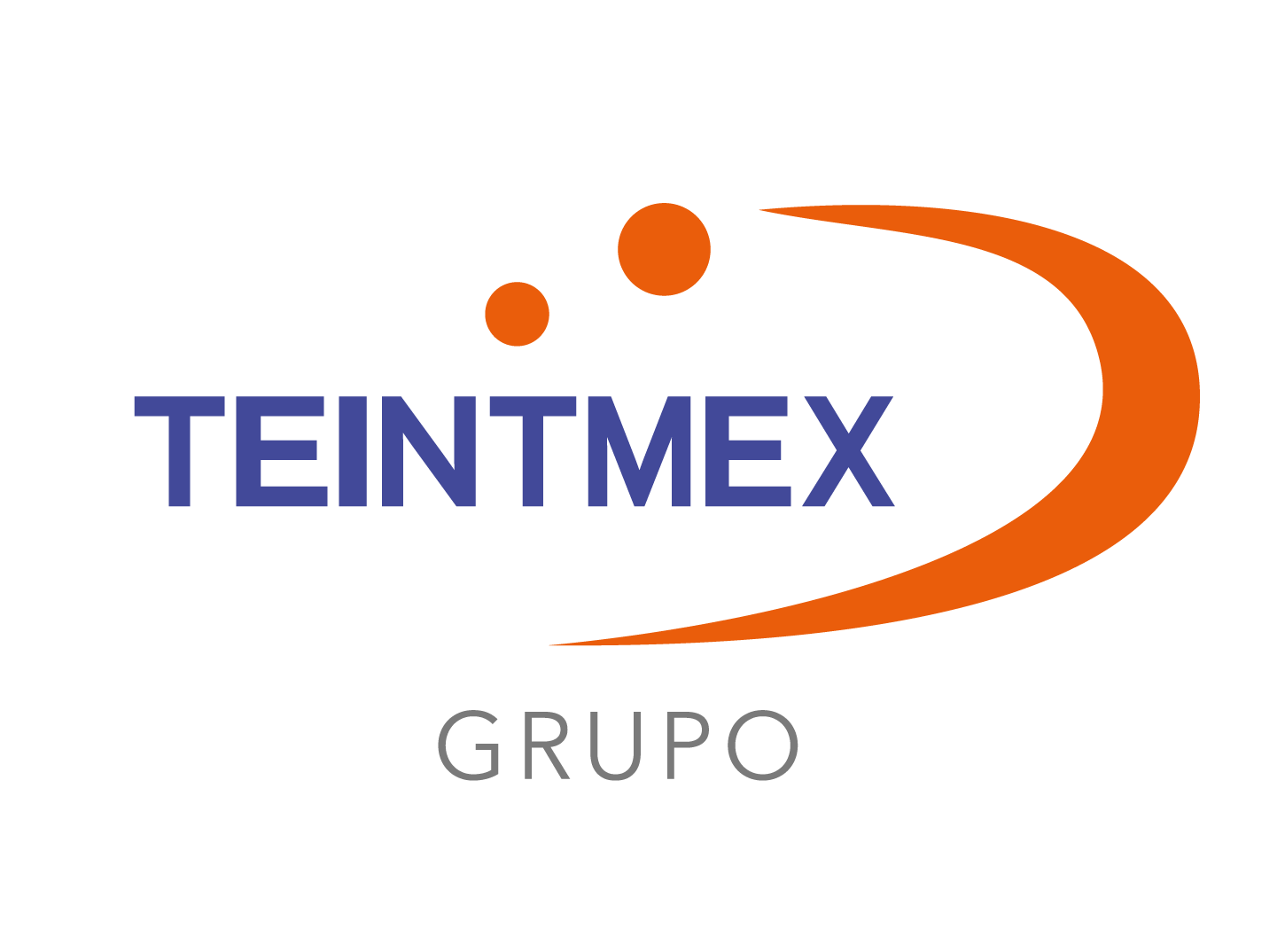 Logo Teintmex